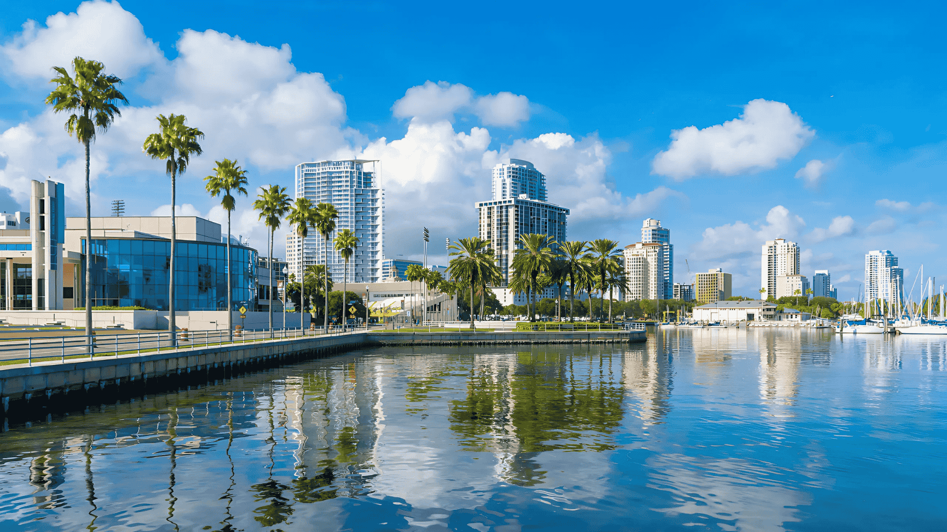 Palm-lined waterfront promenade in New Tampa, featured in Air Titans’s service map